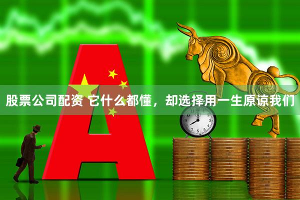 股票公司配资 它什么都懂，却选择用一生原谅我们
